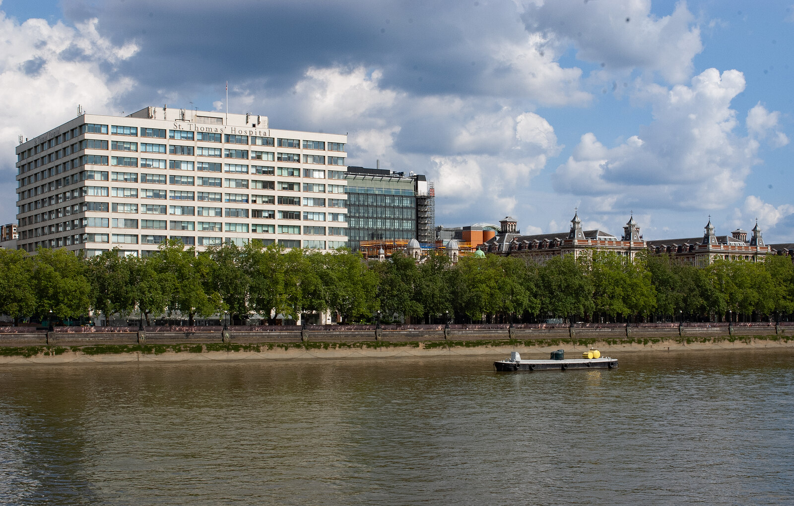 Guy's and St Thomas'
